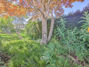 Side Garden- click for photo gallery